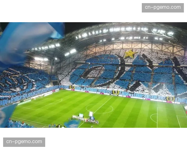 深度报道：马赛新球场计划因环保评估再次陷入停滞