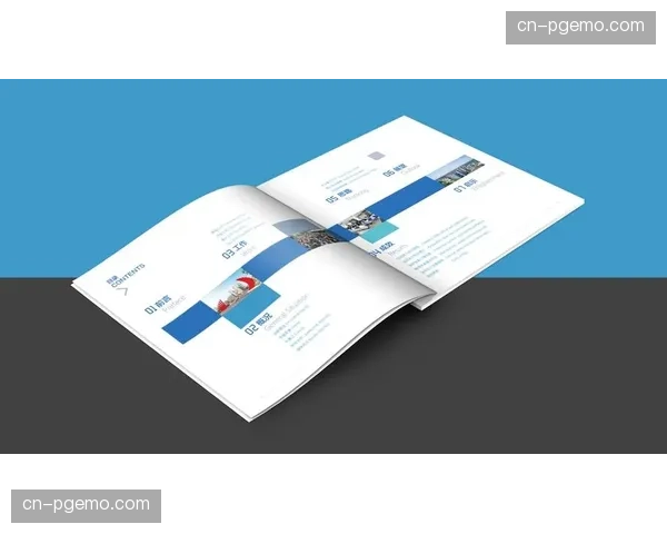 知识产权案:某品牌起诉竞争对手抄袭其专利性车架几何设计 知识产权案:某品牌起诉竞争对手抄袭其专利性车架几何设计